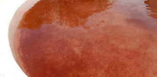 Ученые выяснили, почему над Испанией шли «кровавые дожди»