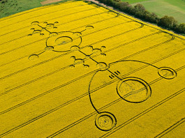 Паранормальное. Круги на полях