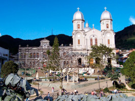 Найден виновник поражающей целый город болезни Альцгеймера