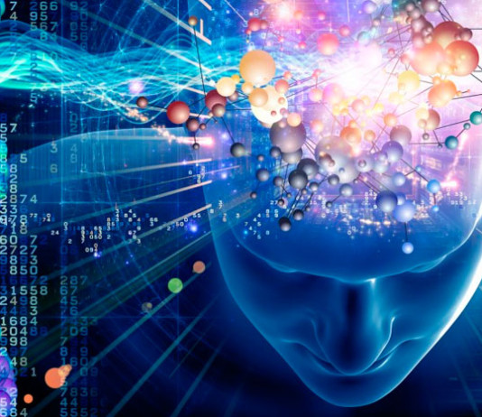 Тайны человеческого мозга