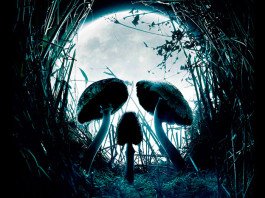 Грибы, которые погубят мир