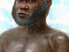 В КНР нашли кости контактировавших с человеком древних карликов