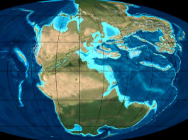 Появилось новое объяснение происхождения ископаемого угля