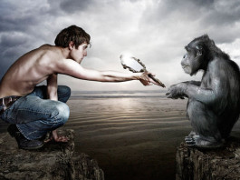 Люди и обезьяны