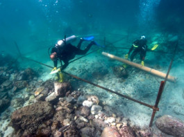 Обнаружен затерянный корабль индийской армады Васко да Гамы