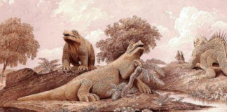 Ученые доказали постепенное вымирание динозавров