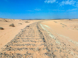 Пуля подтвердила реальность подвига Лоуренса Аравийского