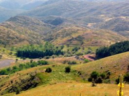 Древних греков уличили в человеческих жертвоприношениях и каннибализме