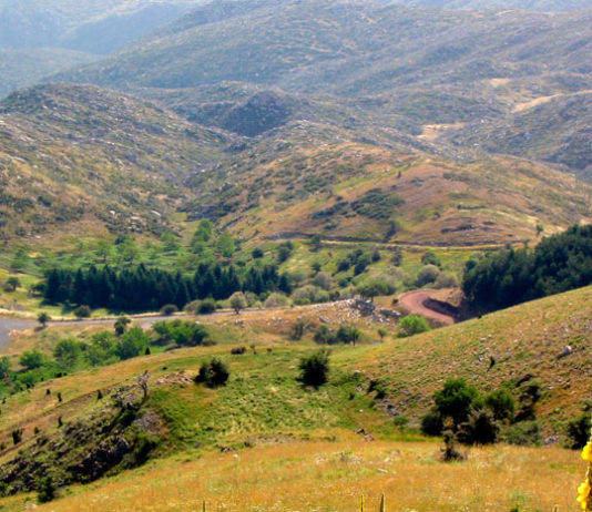 Древних греков уличили в человеческих жертвоприношениях и каннибализме
