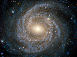 Физики подтвердили возможное открытие пятой силы природы