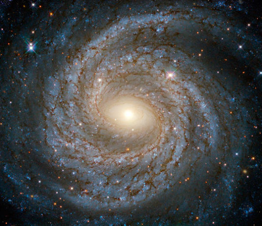 Физики подтвердили возможное открытие пятой силы природы