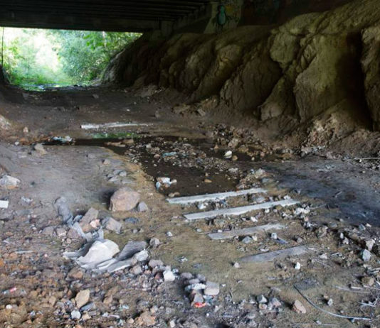 В Польше на месте поисков поезда с нацистским золотом обнаружили тоннель