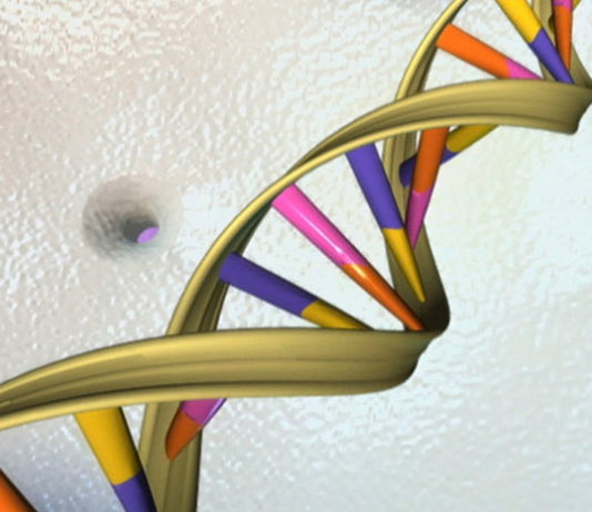 Обнародованы подробности массовой гибели граждан СССР от биологического оружия