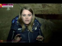 Историки и поисковики пытаются разгадать, где спрятана вывезенная гитлеровцами Янтарная комната