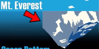 Неисследованные глубины океана показали на видео