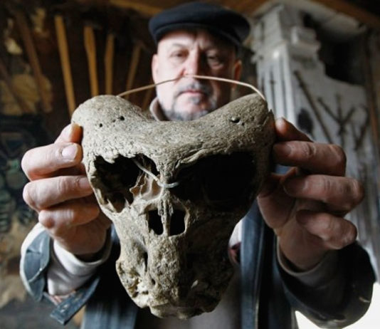 Найденные в Адыгее таинственные черепа оказались останками буйволов (видео)