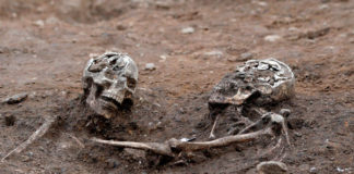 Доказана возможность существования вымерших разумных существ