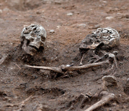 Доказана возможность существования вымерших разумных существ